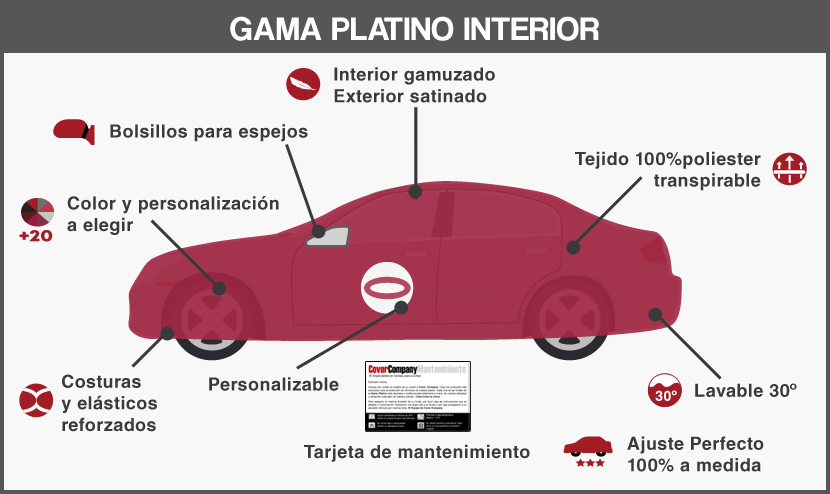 Funda para coches Interior a medida Lancia
